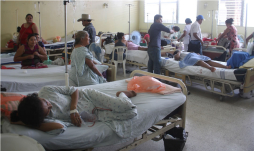 Gobierno debió declarar alerta por dengue desde inicio de año