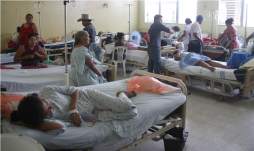 Mañana se sabrá si se decreta o no emergencia por dengue en Honduras