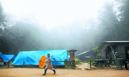 El cusuco maravilla  a científicos