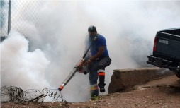 El dengue se ensaña con Centroamérica, con 17 muertos y casi 30,000 enfermos