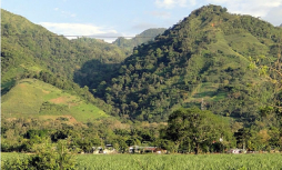 Salen a la calle a exigir no se permita explotación minera