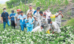 Indignación y tristeza por presunta muerte de Barrow