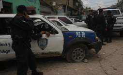 Consejo de Defensa ordenó compra directa de vehículos