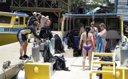 Utila, la isla hondureña perfecta para los amantes del buceo