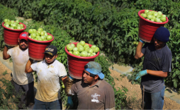 Honduras, el destino más caro para remesas