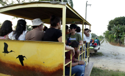 El majestuoso mundo silvestre de Cuero y salado
