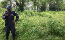 Ultiman a tiros al capataz de hacienda