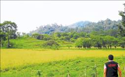 En 18 meses estará listo aeródromo de Copán