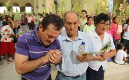 Masivas procesiones en el domingo de ramos