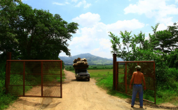 Lugar adonde se halló cadáver de Aníbal Barrow es 'ruta del crimen”