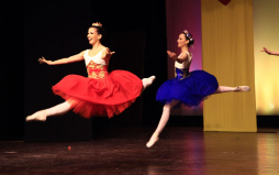 Danzas, ritmos y variedades