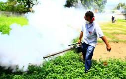 Cruz Roja da aporte a lucha contra el dengue