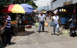 Seis casos de dengue recibió el Rivas