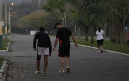 Bulevar podrá ser paseo de caminantes