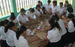 Crean microempresas con lirio acuático extraído del lago