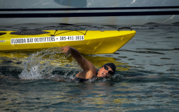 Nada desde Cuba a EUA sin jaula antitiburones