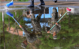 Dengue deja ya 26 muertos y casi 40,000 enfermos en Centroamérica