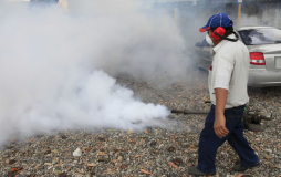 Cada semana se registran 150 casos