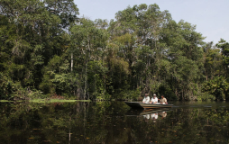 El majestuoso mundo silvestre de Cuero y salado