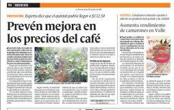 Café se desploma a mínimos récord