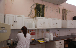 Por falta de edificio suspenden trámites en Medicina Forense