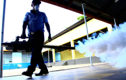 Salud investiga dos muertes más por dengue