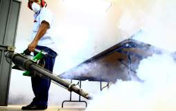 Comisión pretende reducir el dengue, pero sin dar fondos