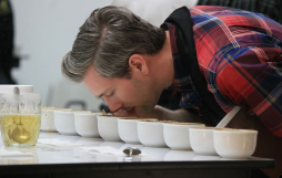 Más de 20 lotes de café a subasta electrónica