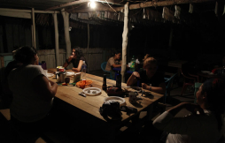 El majestuoso mundo silvestre de Cuero y salado