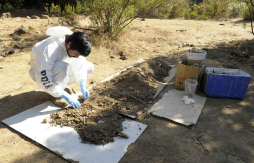 Secta quemó a recién nacido porque creían que era el anticristo