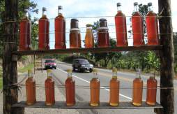 Arte y colorido en plena carretera