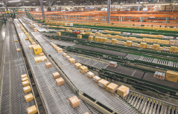 Wal-Mart tropieza con Amazon y las ventas en línea