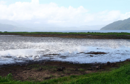 En charcos de lodo se convierte el Lago de Yojoa