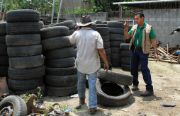 Hallan más yónkeres con criaderos