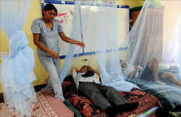Suben a 12 los muertos por dengue en Honduras