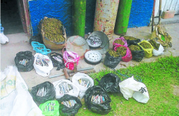 Desbaratan negocio de venta de drogas