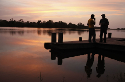 El majestuoso mundo silvestre de Cuero y salado
