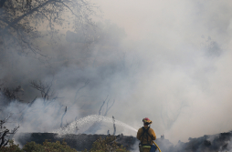 Incendio forestal en California