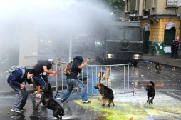 Miles claman en Chile por educación gratuita y el fin del lucro