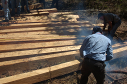 Honduras y la UE negocian un acuerdo de asociación para reducir tala ilegal