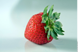 Alimentos que protegen la piel del sol