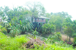 Incautan más bienes en La Ceiba y Roatán