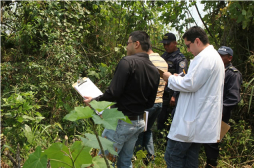 En matorral hallan a una mujer estrangulada