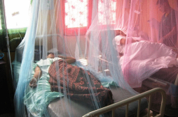 El dengue está afectando el corazón y hasta el cerebro