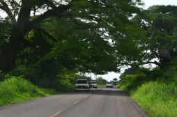 Piden iluminación en carretera principal de San Manuel