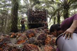 Prevén duplicar comercio con la Unión Europea