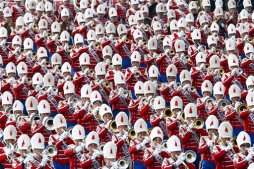 Colorido en el Desfile de las Rosas
