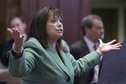 Senado Illinois aprueba licencias para inmigrantes