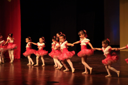 Danzas, ritmos y variedades