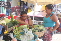Constantes paquetazos agravarán la crisis económica en Honduras